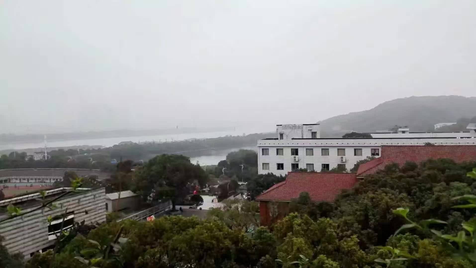 县城女孩赴美留学 哈佛梦值不值200万<strong></p>
<p>美的集团股票</strong>？