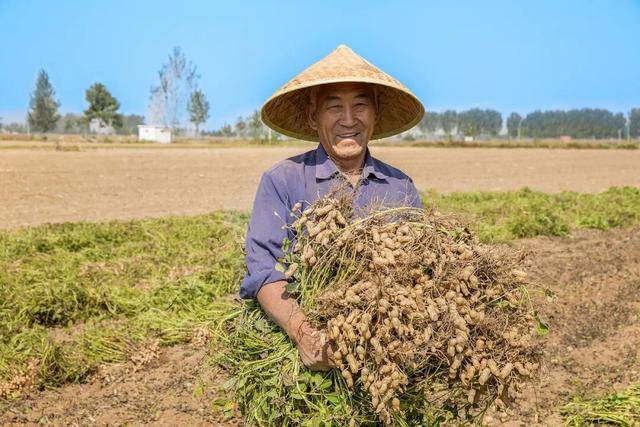 “花生上树”闹剧：AI翻车背后<strong></p>
<p>深圳华强股票</strong>，我们都在弄丢常识？