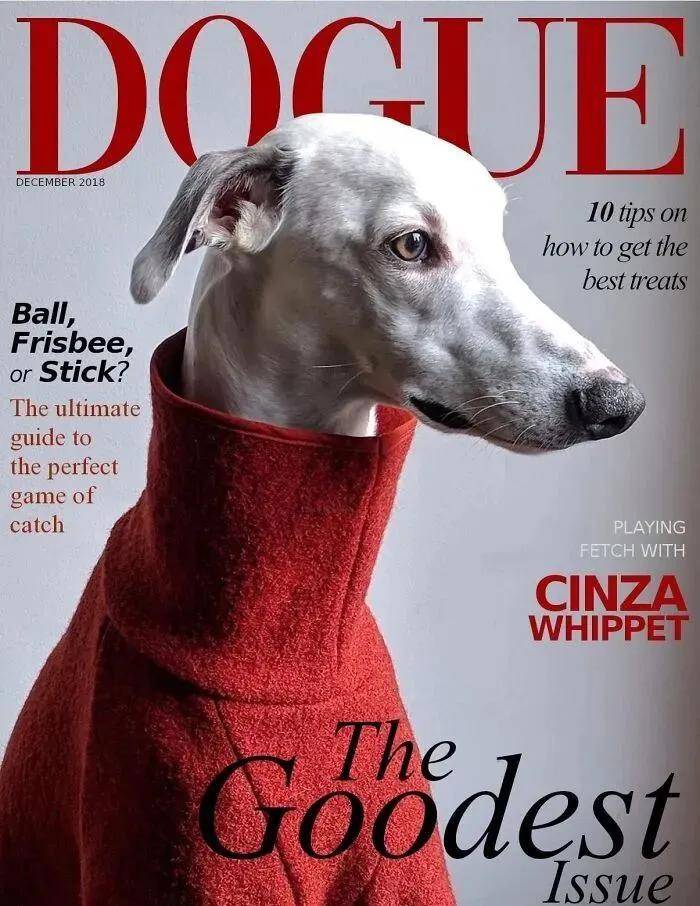 年近四十<strong></p>
<p>深圳华强股票</strong>，二孩妈妈，不骨感不时髦，却成了女魔头接班人