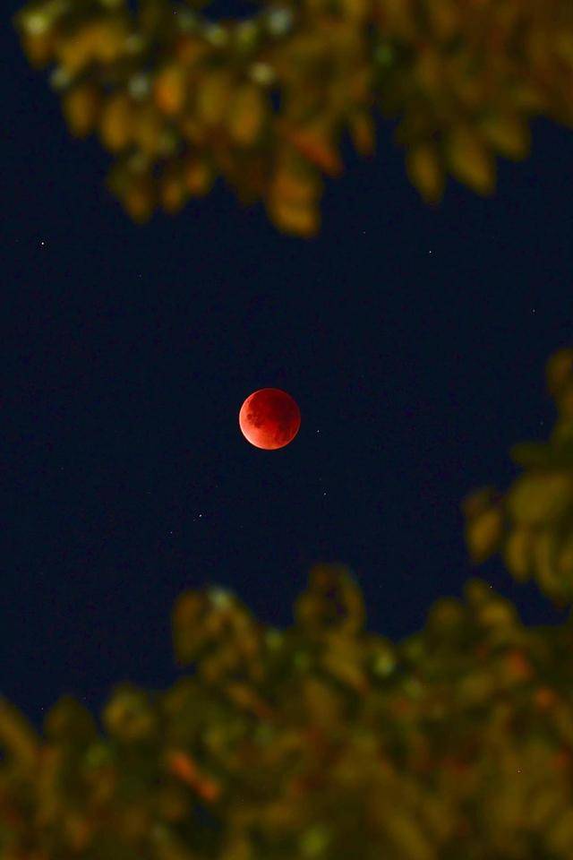 刷屏朋友圈<strong></p>
<p>科士达股票</strong>！“红月亮”高清大图来了