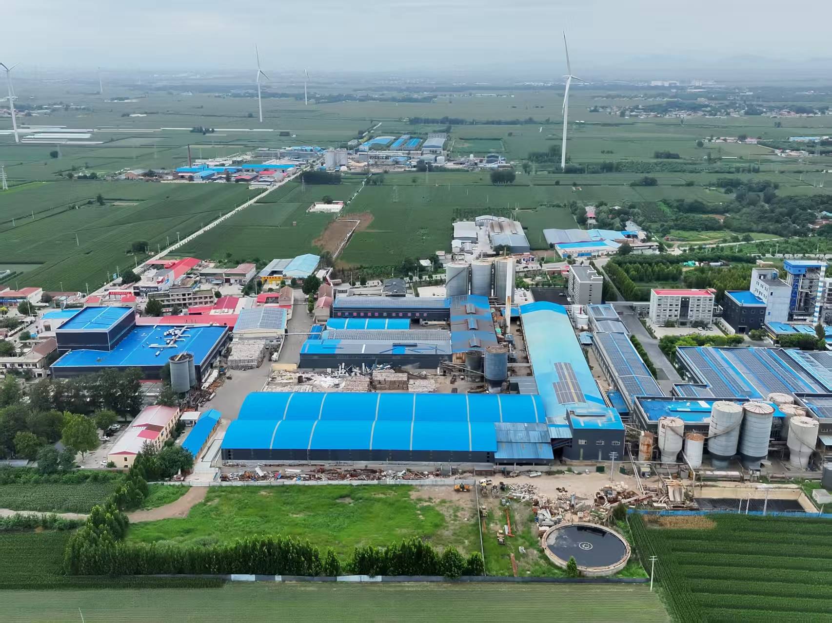 河北柏乡:造纸厂污水外排大片农作物致死引关注<strong></p>
<p>科士达股票</strong>！