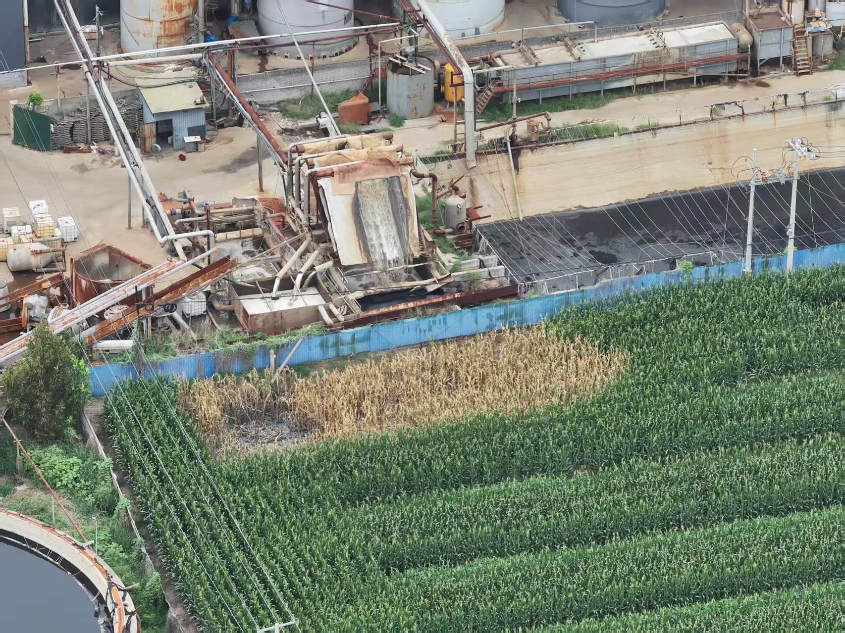 河北柏乡:造纸厂污水外排大片农作物致死引关注<strong></p>
<p>科士达股票</strong>！