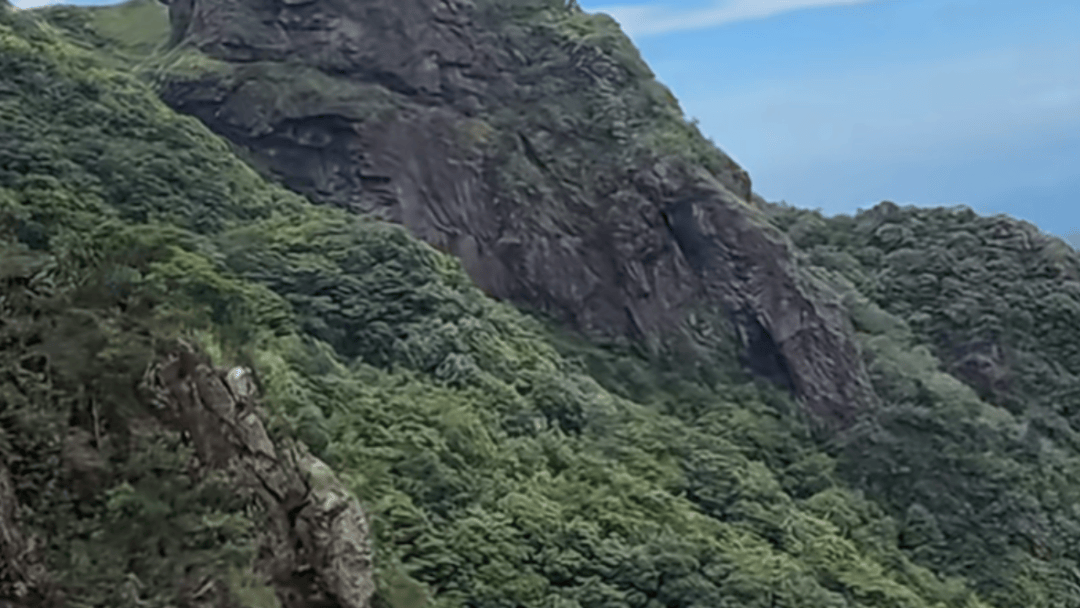 失联5天<strong></p>
<p>良品铺子股票</strong>，遗体被找到！深圳警方初步排除刑事案件