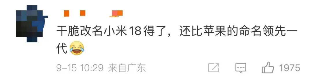 雷军：全面对标iPhone<strong></p>
<p>良品铺子股票</strong>，正面迎战！小米宣布跳过16系列，直接发布17