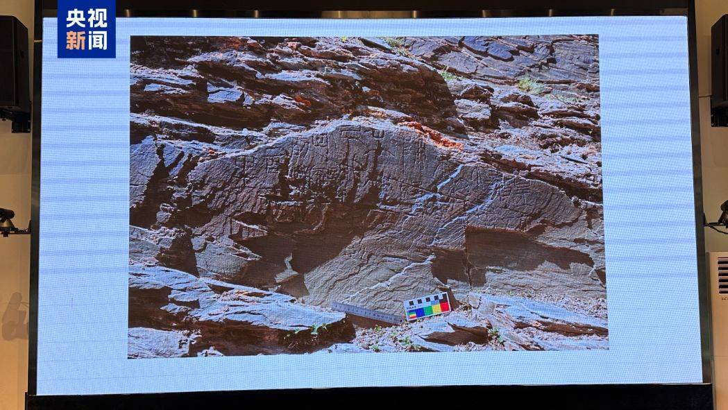 重要发现！扎陵湖秦代刻石得到认定！每经独家采访当地牧民：40年前就曾看见<strong></p>
<p>良品铺子股票</strong>，在他家牧场内