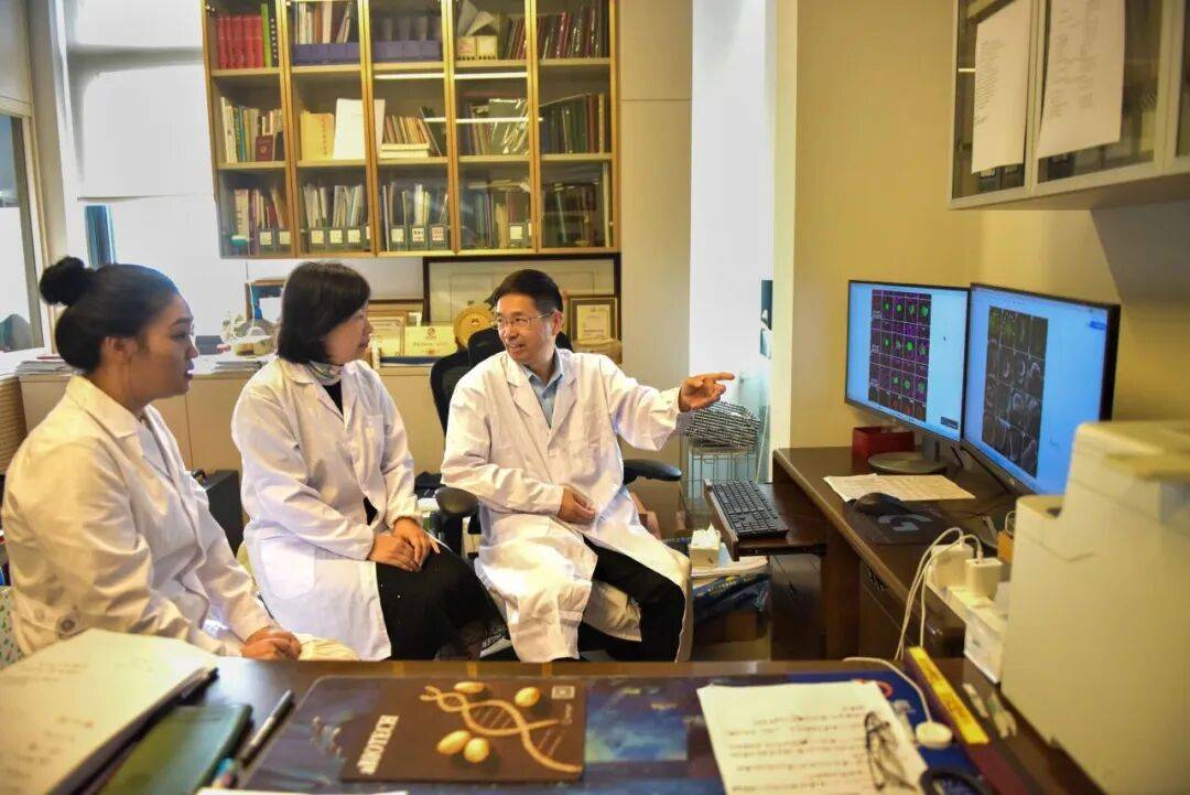 重磅<strong></p>
<p>蓝色光标股票</strong>!山东农大科研团队破解一科学界百年未解之谜