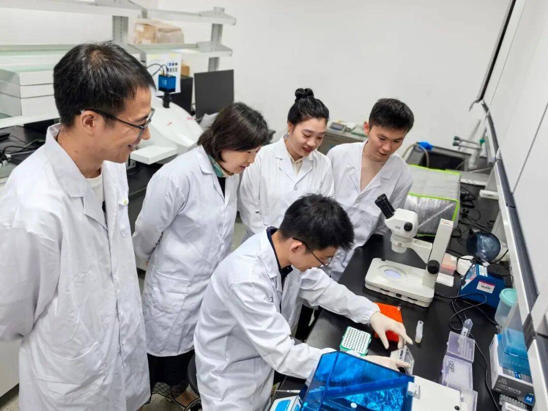 重磅<strong></p>
<p>蓝色光标股票</strong>!山东农大科研团队破解一科学界百年未解之谜