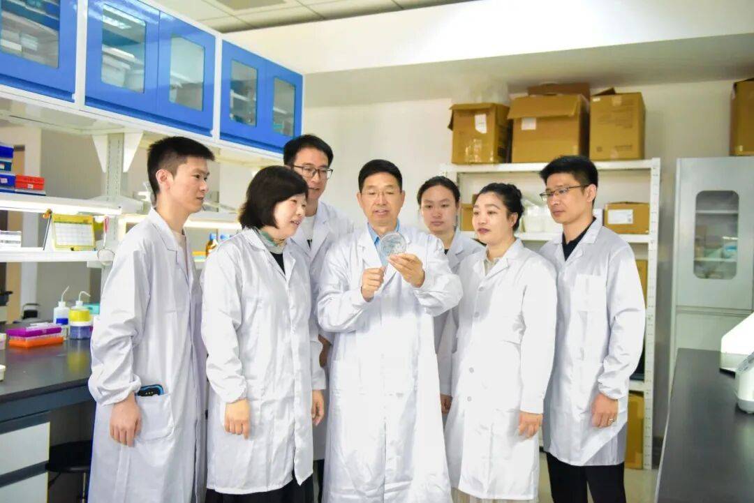 重磅<strong></p>
<p>蓝色光标股票</strong>!山东农大科研团队破解一科学界百年未解之谜