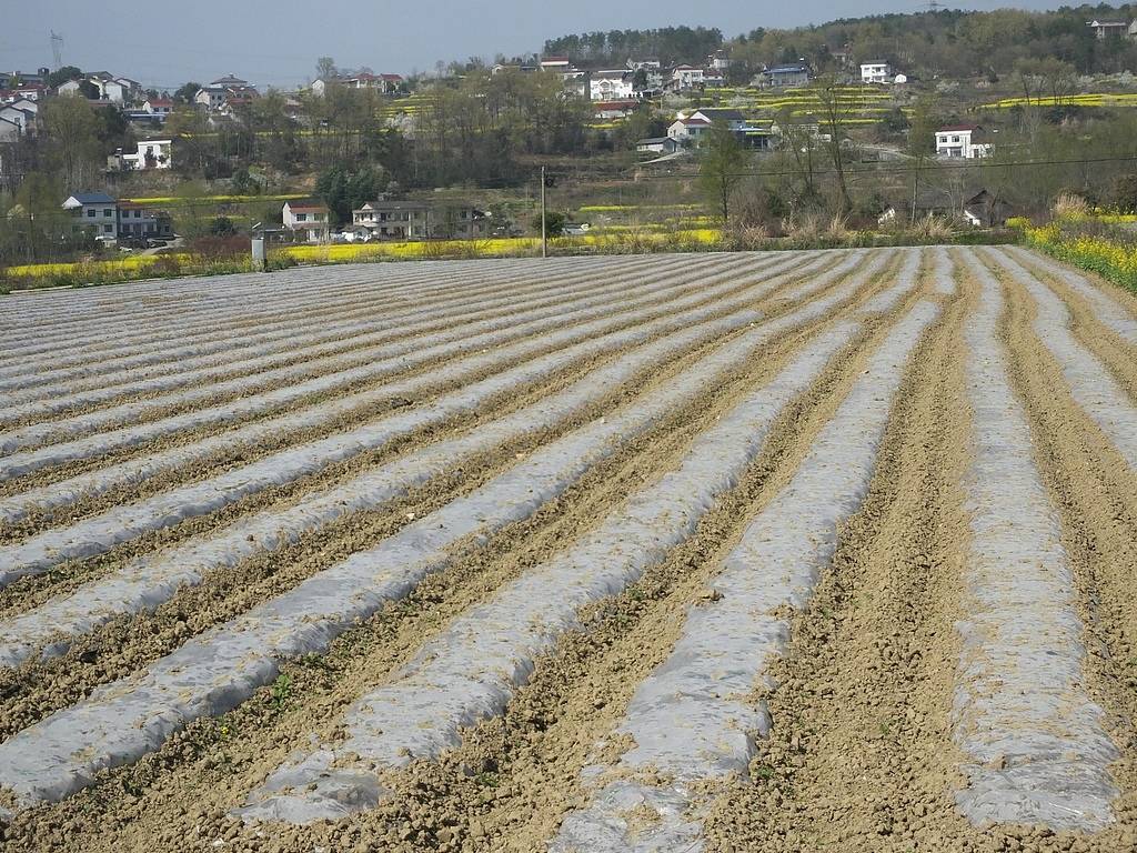 公职人员占他人耕地屡次修坟<strong></p>
<p>西安饮食股票</strong>，得管管乡村恶霸