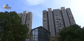 长租15年梦想一年破灭<strong></p>
<p>碧桂园股票</strong>!女子遭遇“劝退”