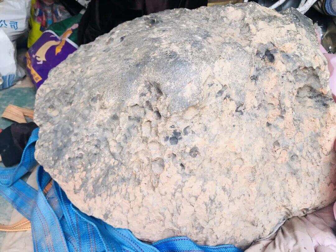 “陨石猎人”：在茂名挖出423公斤陨石；村民称此前不知有陨石<strong></p>
<p>碧桂园股票</strong>，曾见有外人来果园