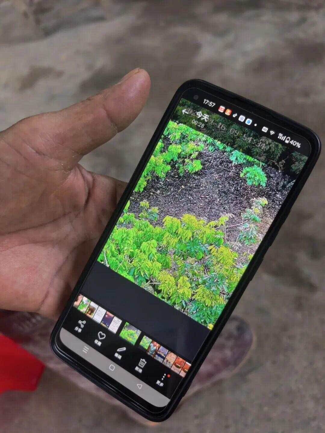 “陨石猎人”：在茂名挖出423公斤陨石；村民称此前不知有陨石<strong></p>
<p>碧桂园股票</strong>，曾见有外人来果园