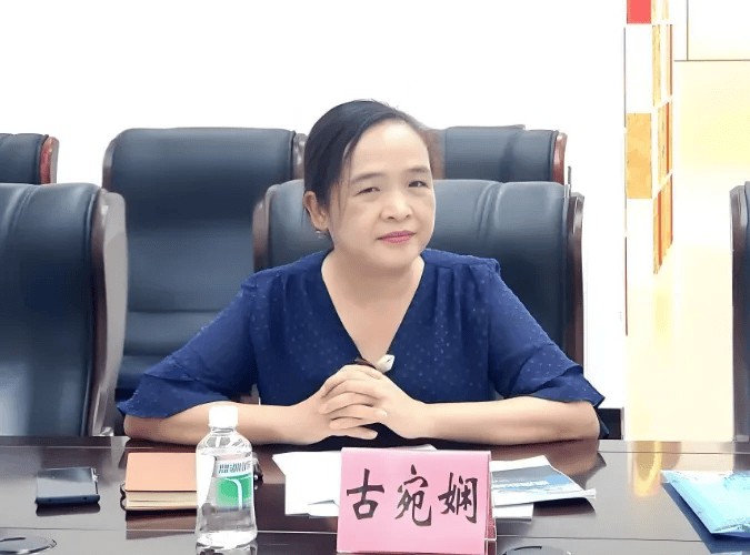 古宛娴<strong></p>
<p>股票入门基础知识</strong>，被查