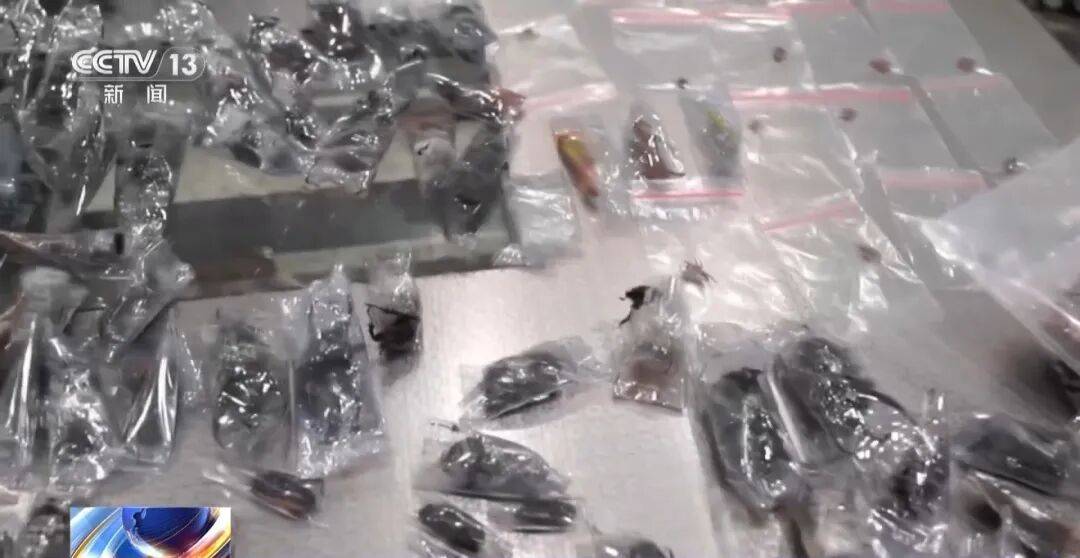 掀开衣服<strong></p>
<p>黄河旋风股票</strong>，密密麻麻！200多只活虫惊现深圳机场……