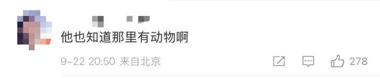 “感谢大家支持我大闹天宫……”蔡国强烟花秀现场感言视频披露<strong></p>
<p>黄河旋风股票</strong>，又遭质疑！