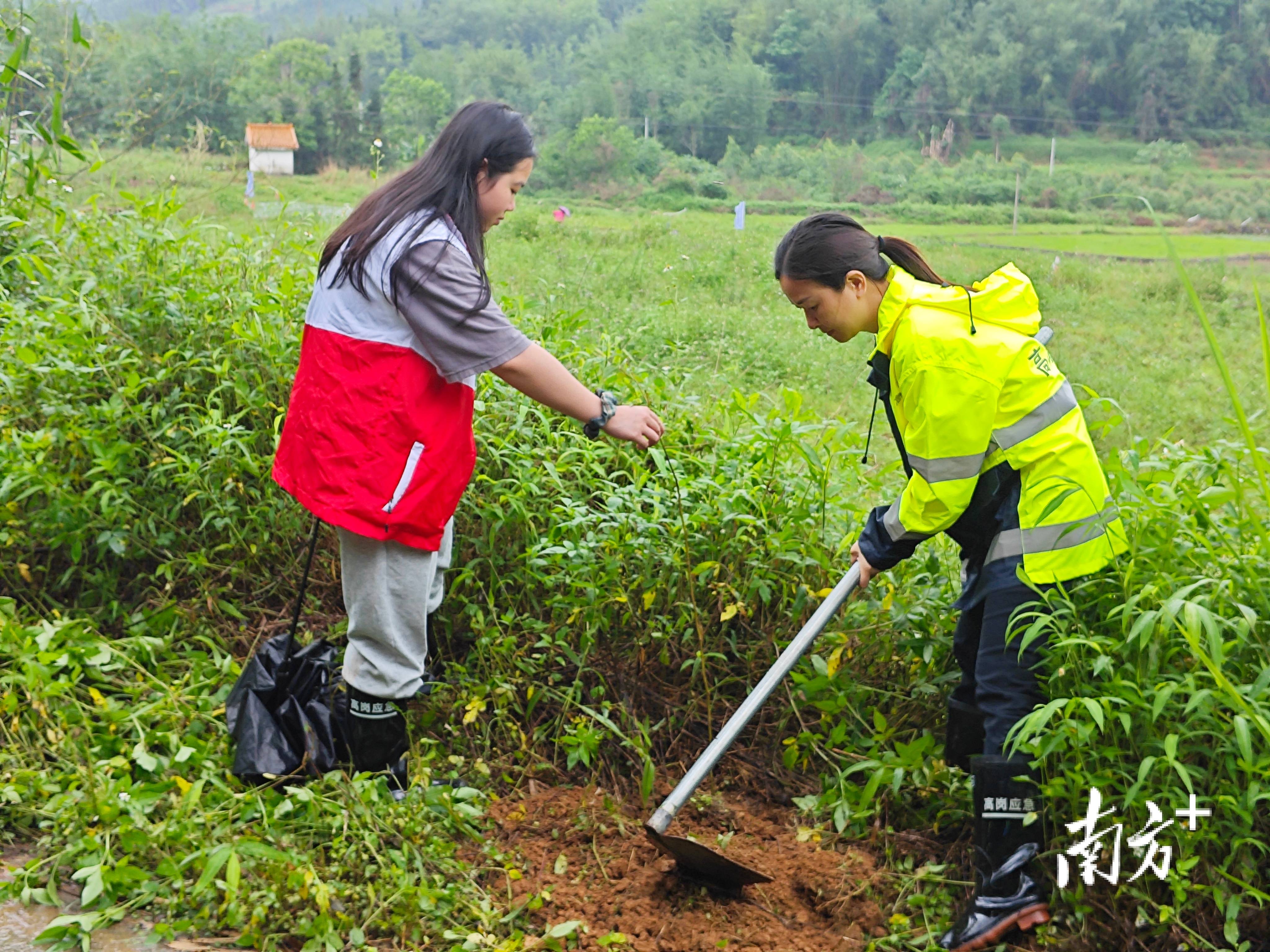 “外来媳妇”谭焕贞五年深耕<strong></p>
<p>中信海直股票</strong>，佛冈高岗宝山村换新貌
