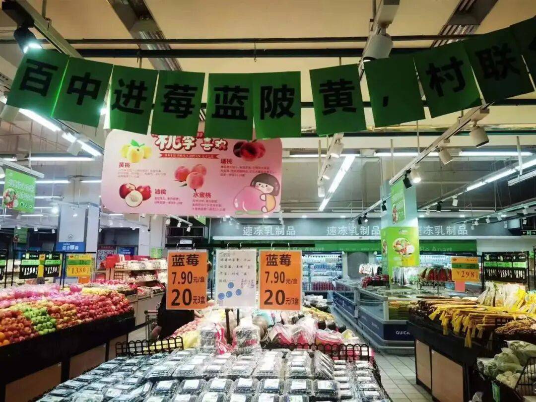 国企联村·强村富民｜一颗蓝莓激活乡村振兴<strong></p>
<p>中信海直股票</strong>，书写荒坡变宝地新篇