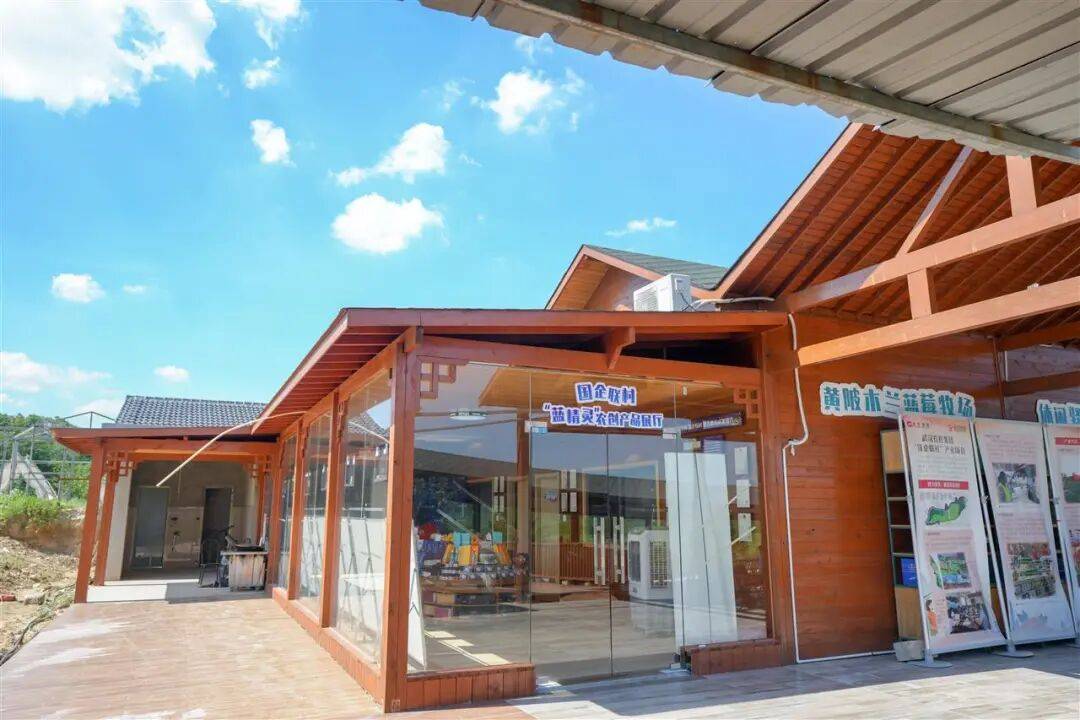 国企联村·强村富民｜一颗蓝莓激活乡村振兴<strong></p>
<p>中信海直股票</strong>，书写荒坡变宝地新篇