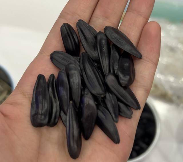 紫色向日葵、多彩胡萝卜、双色火龙果亮相青岛<strong></p>
<p>中信海直股票</strong>，种子盛会变身“未来食物实验室”