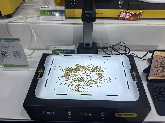 紫色向日葵、多彩胡萝卜、双色火龙果亮相青岛<strong></p>
<p>中信海直股票</strong>，种子盛会变身“未来食物实验室”