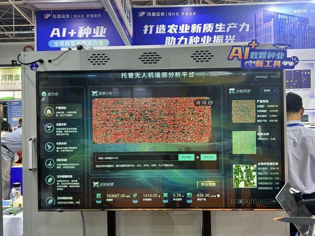 紫色向日葵、多彩胡萝卜、双色火龙果亮相青岛<strong></p>
<p>中信海直股票</strong>，种子盛会变身“未来食物实验室”