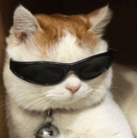 “不亚于春节回家”!凌晨5点<strong></p>
<p>云内动力股票</strong>,深圳有人已经堵在路上……