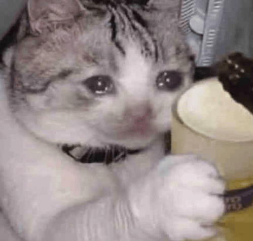 “不亚于春节回家”!凌晨5点<strong></p>
<p>云内动力股票</strong>,深圳有人已经堵在路上……