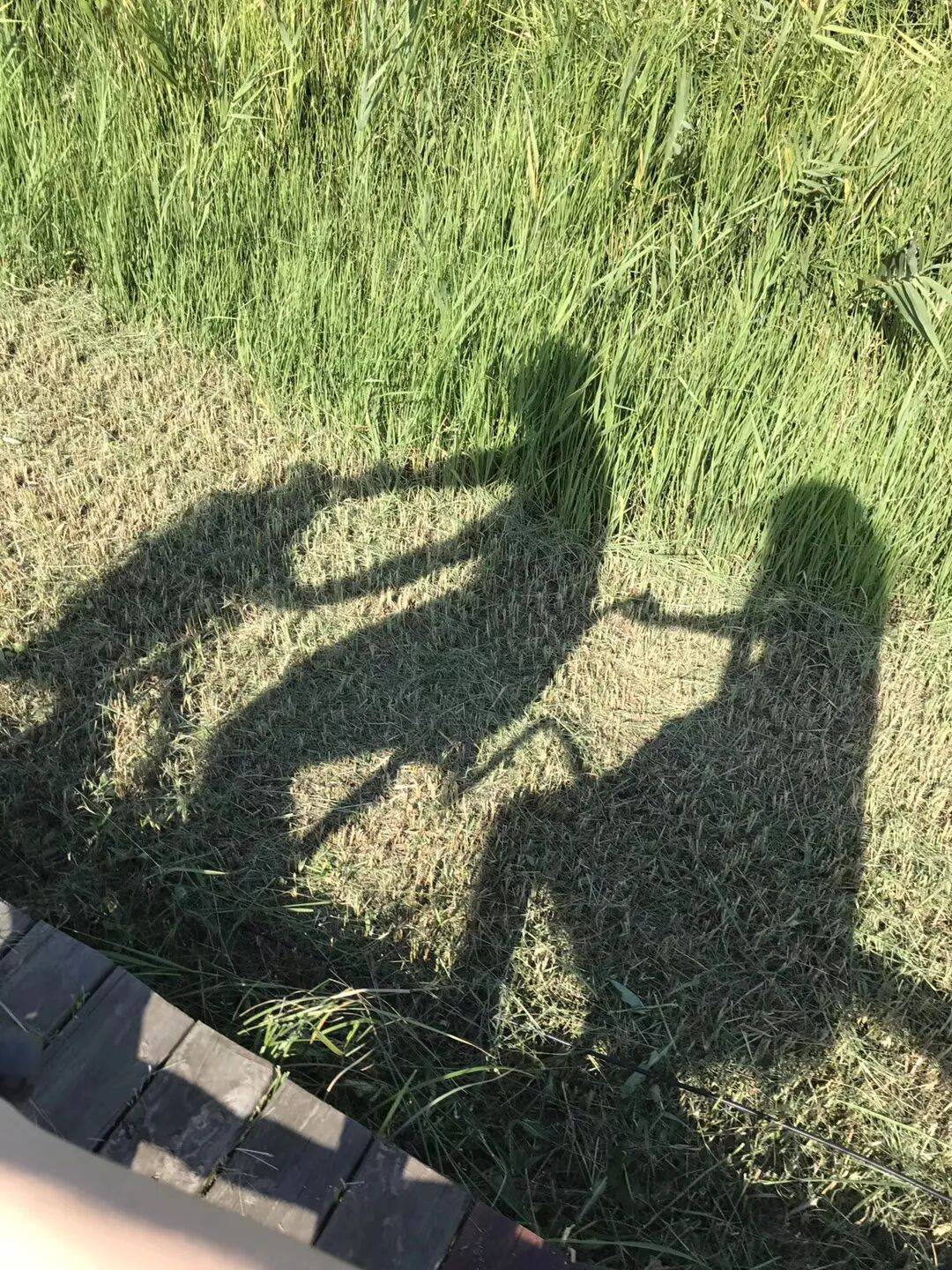 纸质火车票退场<strong></p>
<p>云内动力股票</strong>，每道折痕里都藏着远方、爱情与山河记忆