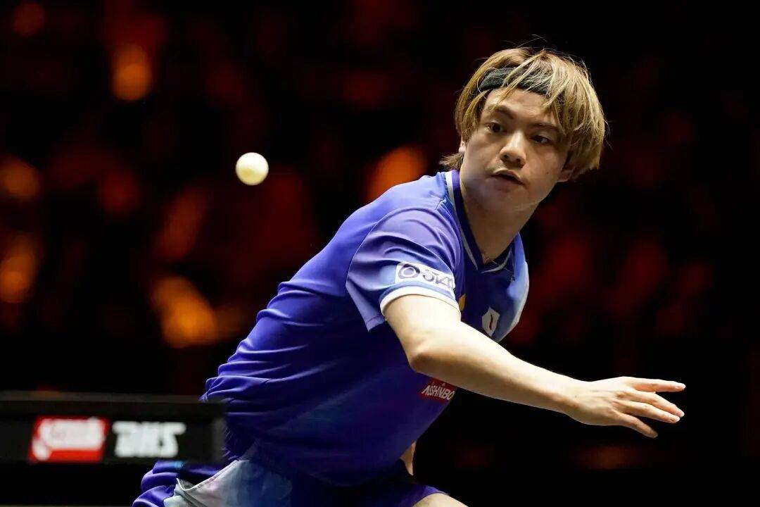 王艺迪完胜桥本<strong></p>
<p>万科a股票</strong>,向鹏挺进8强 | WTT中国大满贯单打