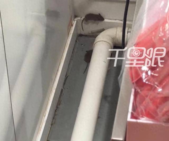 网曝蜜雪冰城一门店有多只老鼠横行<strong></p>
<p>万科a股票</strong>，涉事门店员工回应