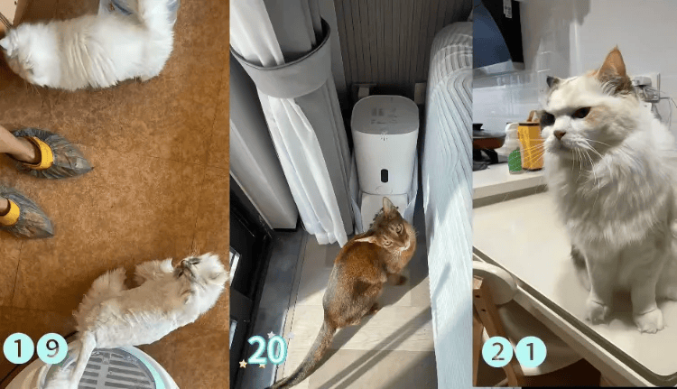 这个需求激增！一男子连接270单<strong></p>
<p>中油资本股票</strong>，其中一笔收费8100元