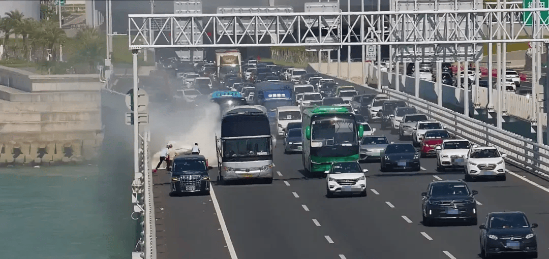 粤B·97821D、粤Z·AG85澳、粤T·91736<strong></p>
<p>中油资本股票</strong>，你们被拍下来了！