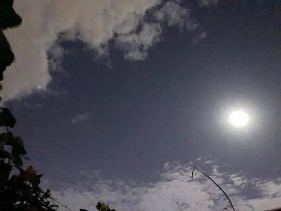 没有什么能阻挡!今天<strong></p>
<p>中油资本股票</strong>,广西人就是要回家!