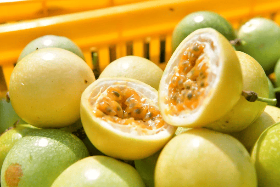 没有什么能阻挡!今天<strong></p>
<p>中油资本股票</strong>,广西人就是要回家!