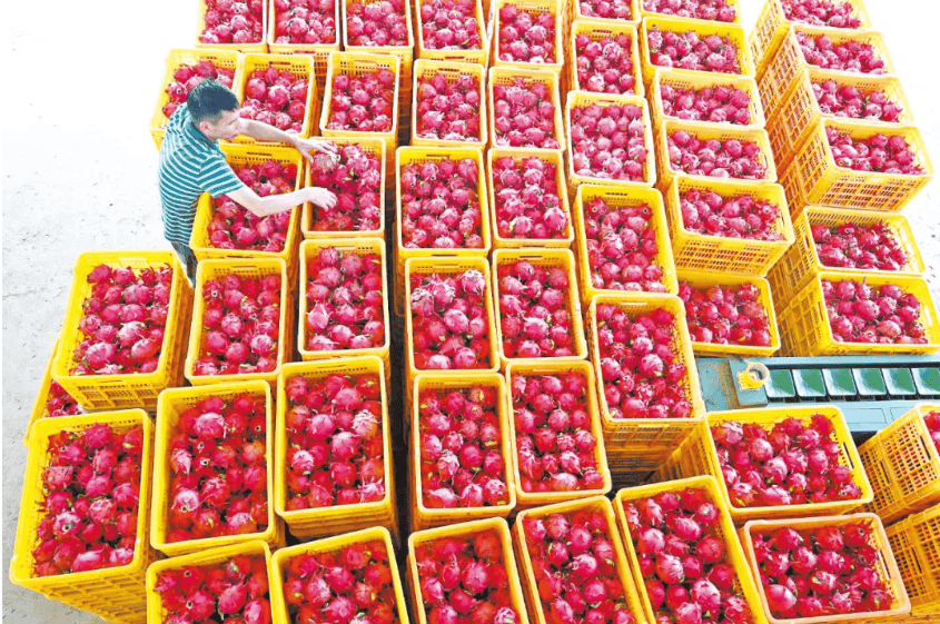 没有什么能阻挡!今天<strong></p>
<p>中油资本股票</strong>,广西人就是要回家!