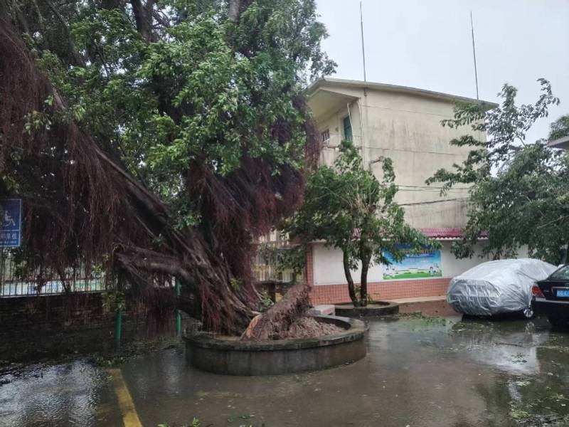 台风“麦德姆”今晚将移出广东<strong></p>
<p>中油资本股票</strong>！中秋节夜间全省大部可见月光