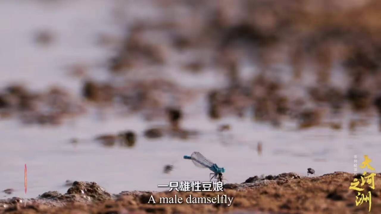 闪电评论｜镜头“深潜”大河洲<strong></p>
<p>中油资本股票</strong>，故事“直抵”世界心