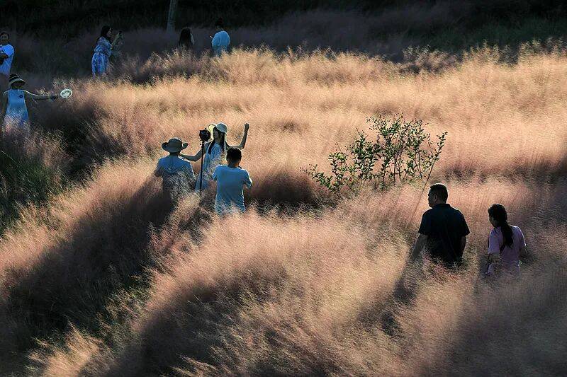 打卡拍照<strong></p>
<p>法拉第未来股票</strong>,再美也不能用生命对焦