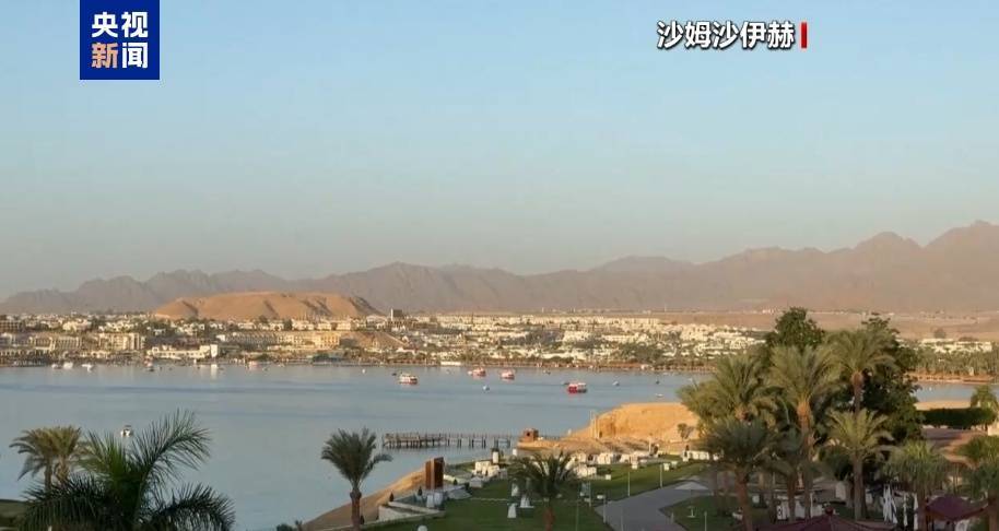 哈马斯、普京最新发声<strong></p>
<p>法拉第未来股票</strong>!