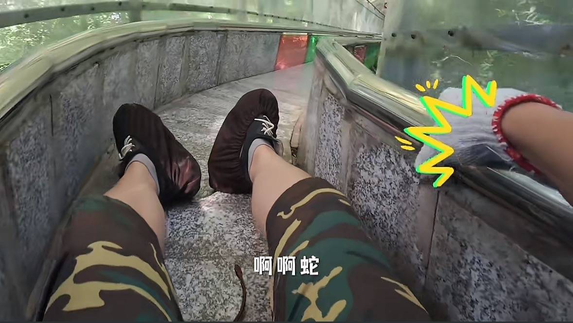 游客称在广西丹炉山滑道遇蛇<strong></p>
<p>王府井股票</strong>,景区致歉:这么多年就这一次,每年都做防蛇处理