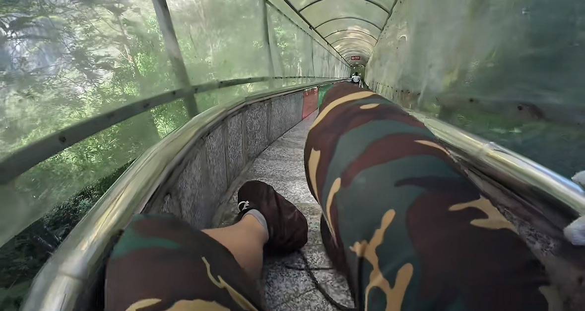 游客称在广西丹炉山滑道遇蛇<strong></p>
<p>王府井股票</strong>,景区致歉:这么多年就这一次,每年都做防蛇处理