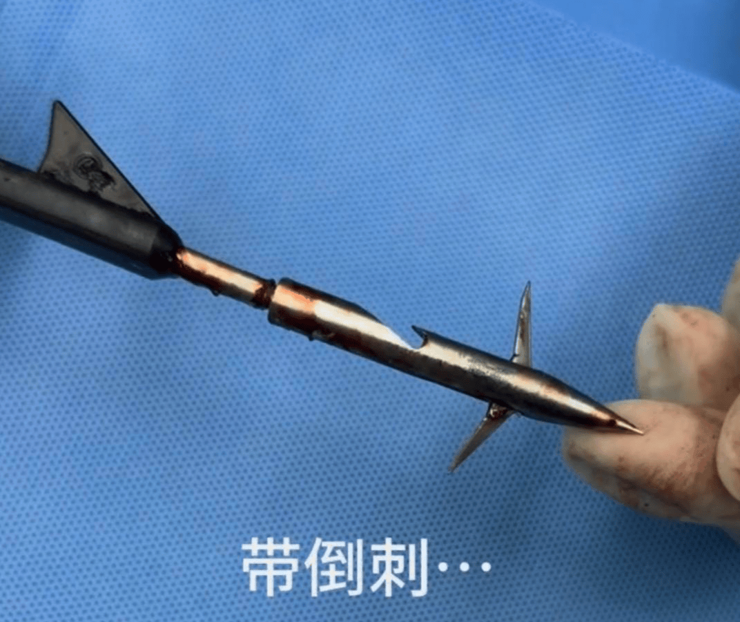 教育局回应“一教师用弓箭射杀小狗”：不实<strong></p>
<p>福耀玻璃股票</strong>，小狗进学校前就被射伤