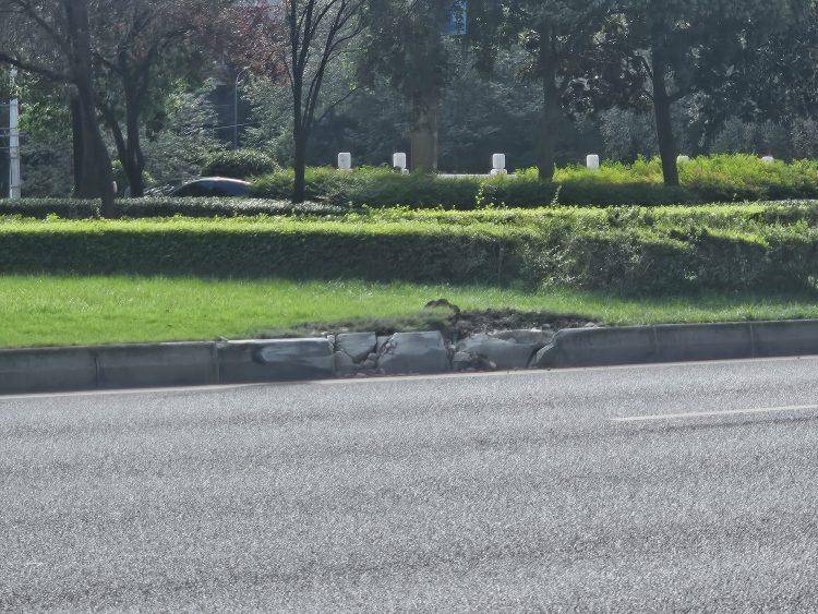 成都发生一起严重交通事故<strong></p>
<p>宁波银行股票</strong>，上游新闻实地探访：燃烧留下的印记仍在