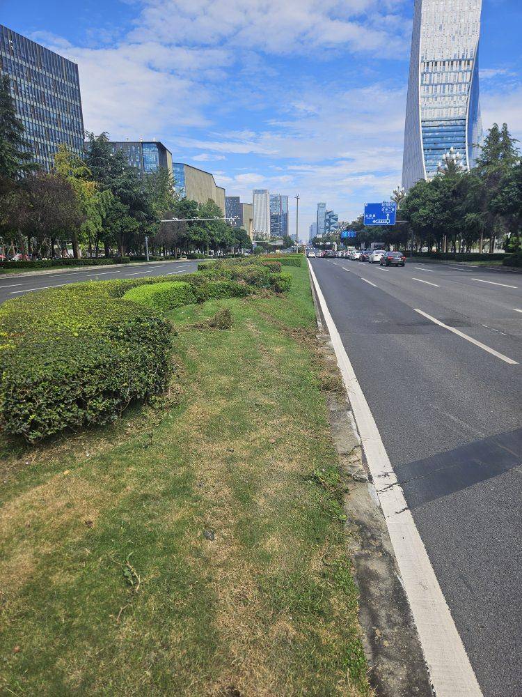 成都发生一起严重交通事故<strong></p>
<p>宁波银行股票</strong>，上游新闻实地探访：燃烧留下的印记仍在