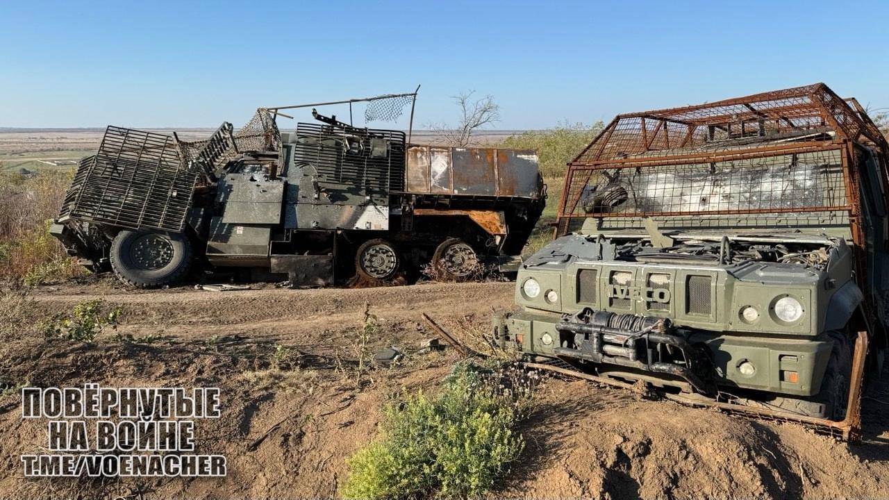 不再伪装<strong></p>
<p>宁波银行股票</strong>，意大利露出了真面目：北约准备参战，俄乌将迎来大结局