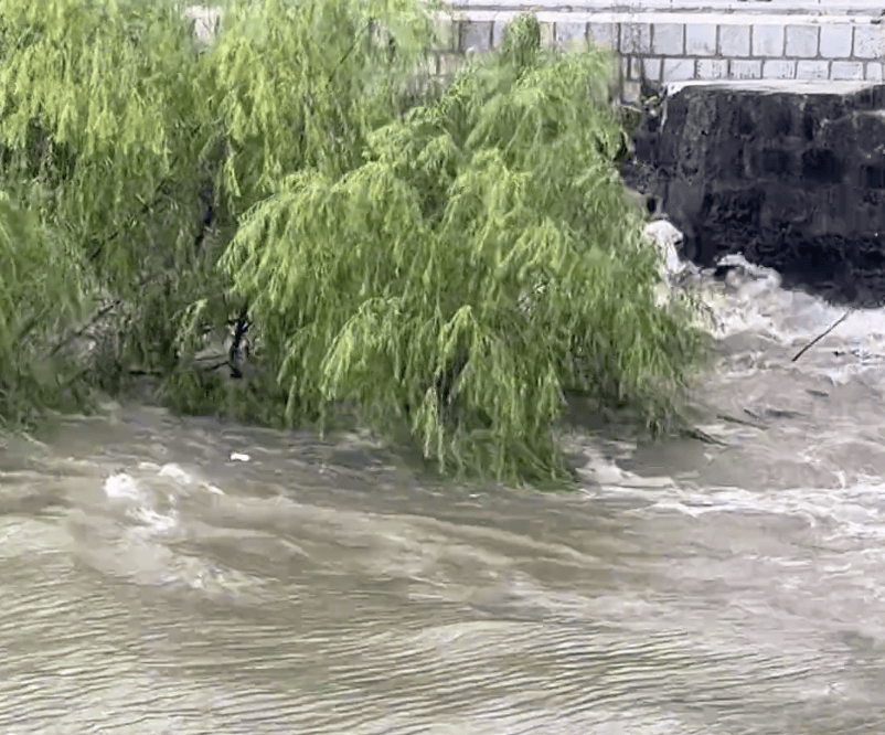 230斤重小伙酒后落水<strong></p>
<p>宁波银行股票</strong>，漂浮7小时终获救……