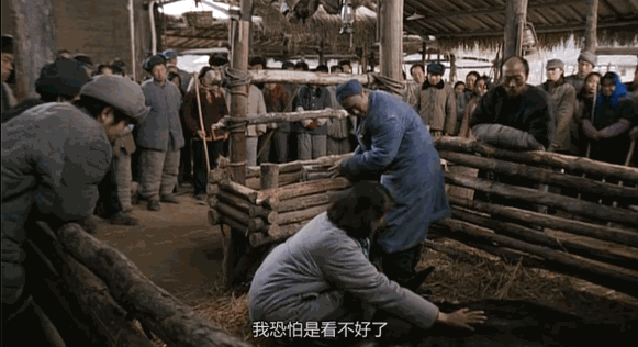 为什么说现在不缺牛马<strong></p>
<p>宁波银行股票</strong>，就缺驴？