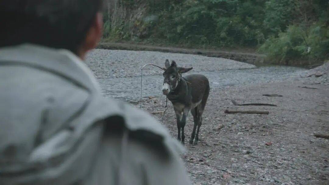 为什么说现在不缺牛马<strong></p>
<p>宁波银行股票</strong>，就缺驴？