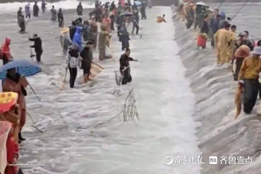 “鱼多得数不过来<strong></p>
<p>facebook股票</strong>，一网子下去能捞好几条”济南锦绣川水库开闸放水，大量鲢鱼被冲出，工作人员：禁止捕捞！