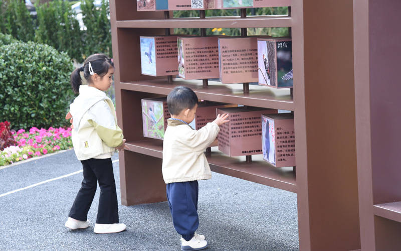 西城区广外街道：“断头路”变身口袋公园<strong></p>
<p>金安国纪股票</strong>，装满民生“微幸福”